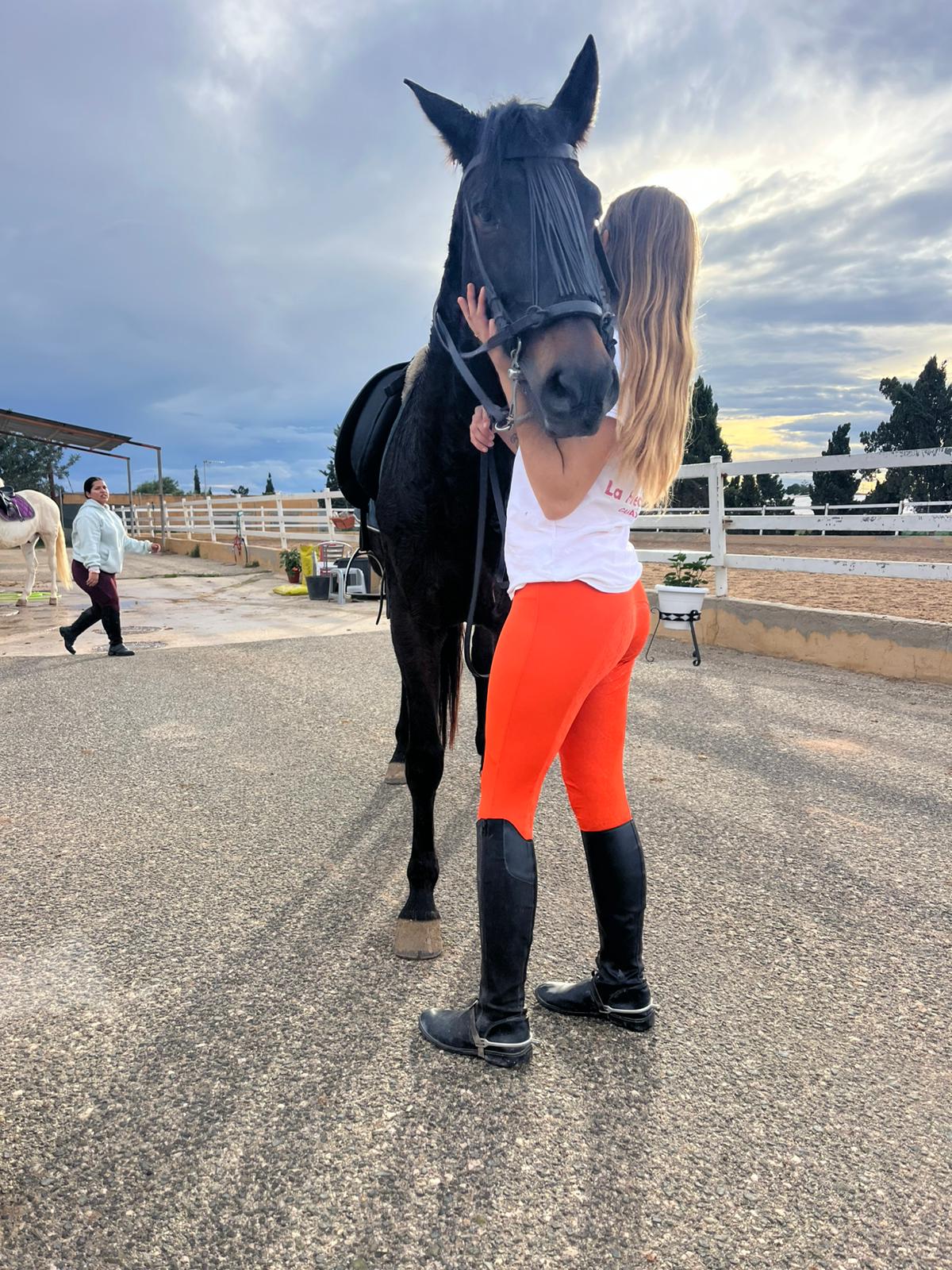 Zenith Breeches - Orange Burnt Edition