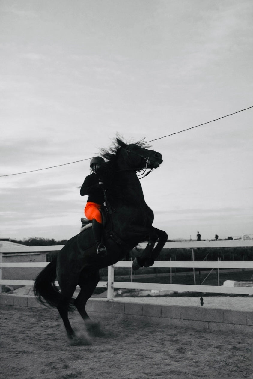 Zenith Breeches - Orange Burnt Edition