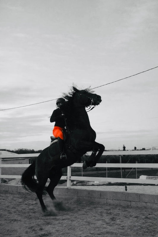 Zenith Breeches - Orange Burnt Edition
